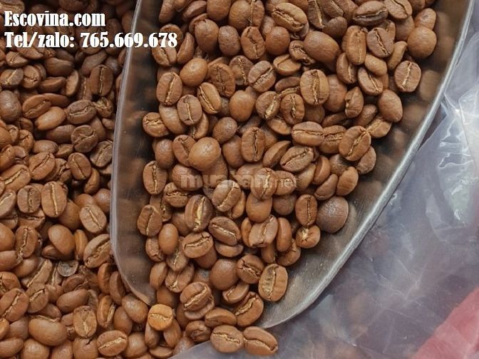Cà phê hạt rang sẵn nguyên chất, Tìm đối tác kinh doanh Hà Nội 51001970 Cà phê hạt rang sẵn nguyên chất, Tìm đối tác kinh doanh Hà Nội