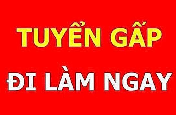 Cần tuyển nhân viên văn phòng. 51021303 Cần tuyển nhân viên văn phòng.