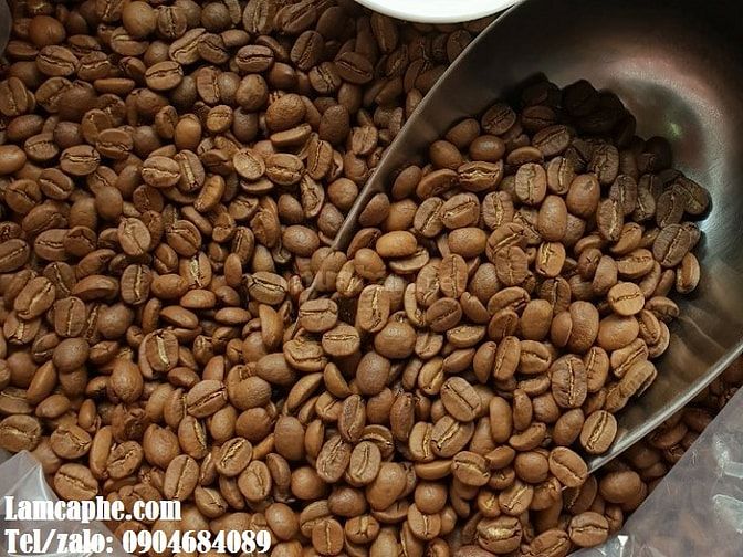 Cà Phê Pha Máy, Hạt Cà Phê rang sẵn Arabica Giá sỉ Thị Xã Dĩ An 51148348 Cà Phê Pha Máy, Hạt Cà Phê rang sẵn Arabica Giá sỉ Thị Xã Dĩ An