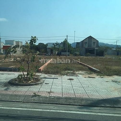 Đất chợ Gò Đen thanh lý giá rẻ như cho. Shr, xdtd. 51251850 Đất chợ Gò Đen thanh lý giá rẻ như cho. Shr, xdtd.