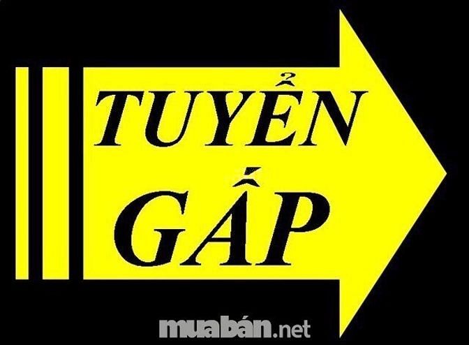 Nhân viên văn phòng đi làm ngay , tốt nghiệp trung cấp 51254390 Nhân viên văn phòng đi làm ngay , tốt nghiệp trung cấp