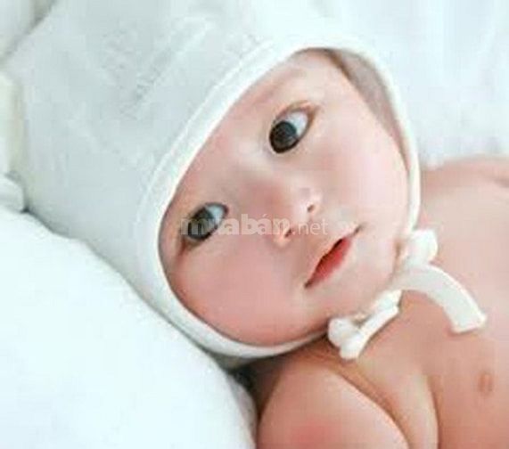 Nhà cần tìm gấp 1 người chăm bé 1 người giúp việc nhà 1 người chăm bà 51340731 Nhà cần tìm gấp 1 người chăm bé 1 người giúp việc nhà 1 người chăm bà