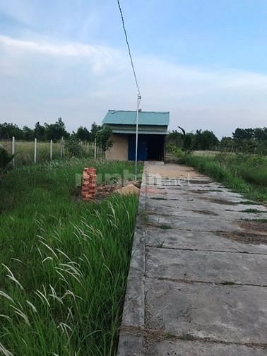 Cần bán nhà vườn 2006m2 - Kênh 5, đường Vườn Thơm 43626589 Cần bán nhà vườn 2006m2 - Kênh 5, đường Vườn Thơm