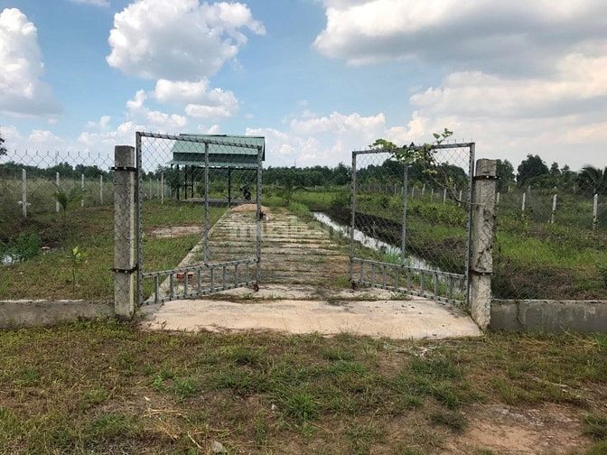 Cần bán nhà vườn 2006m2 - Kênh 5, đường Vườn Thơm 43626589 Cần bán nhà vườn 2006m2 - Kênh 5, đường Vườn Thơm