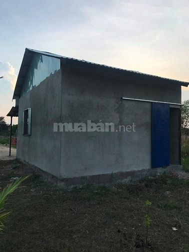 Cần bán nhà vườn 2006m2 - Kênh 5, đường Vườn Thơm 43626589 Cần bán nhà vườn 2006m2 - Kênh 5, đường Vườn Thơm