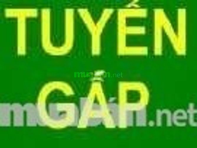 Công ty cần tuyển gấp quản lý nhân sự - hánh chánh văn phòng 51404002 Công ty cần tuyển gấp quản lý nhân sự - hánh chánh văn phòng
