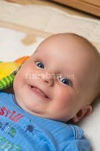 Tìm người giúp việc nhà 1 giữ trẻ 1 chăm người già 51472879 Tìm người giúp việc nhà 1 giữ trẻ 1 chăm người già