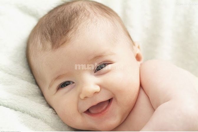 Tuyển người giúp việc nhà 1 giữ em bé chăm người già siêng năng 51474119 Tuyển người giúp việc nhà 1 giữ em bé chăm người già siêng năng