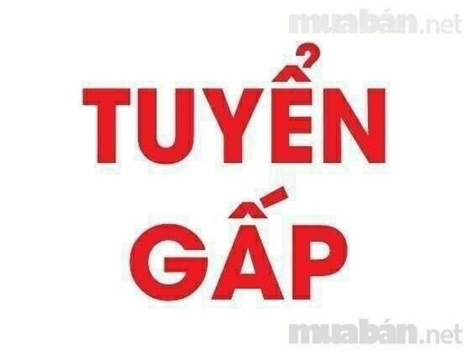Cần tuyển nhân viên tư vấn Dược phẩm cho chi nhánh mới 51480955 Cần tuyển nhân viên tư vấn Dược phẩm cho chi nhánh mới