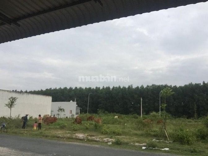 Bán nhanh 6 Nền Đông Phú, Châu Thành, Hậu Giang 51499930 Bán nhanh 6 Nền Đông Phú, Châu Thành, Hậu Giang