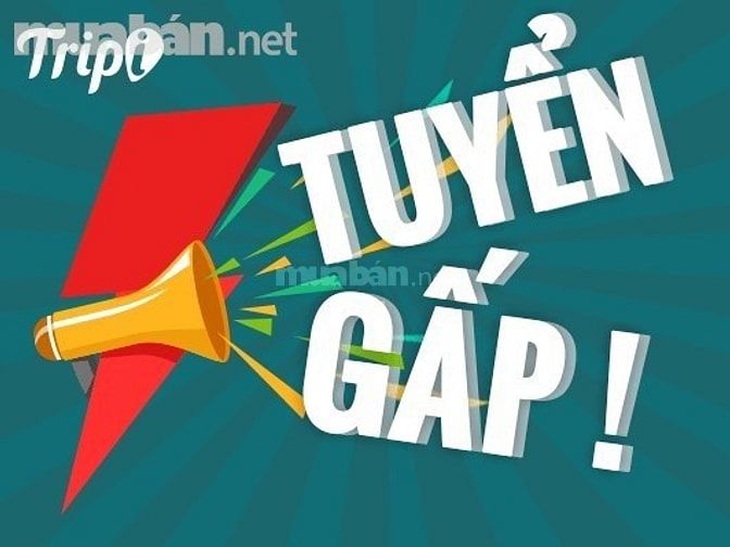 Cần gấp 03 nhân viên bán hàng cho cửa hàng ngũ cốc ...... .......... 51569808 Cần gấp 03 nhân viên bán hàng cho cửa hàng ngũ cốc ...... ..........