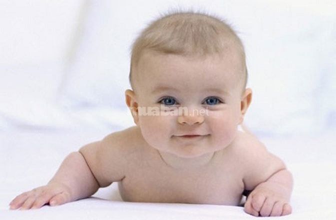 Nhà cần tìm 1 người giữ bé 1 người giúp việc nhà 1 người chăm bà 51543950 Nhà cần tìm 1 người giữ bé 1 người giúp việc nhà 1 người chăm bà