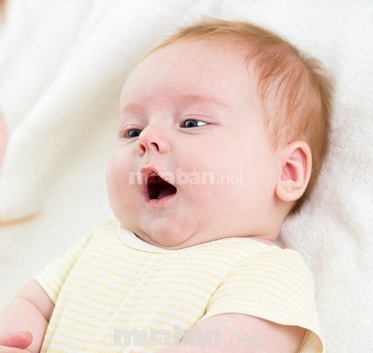 Cần tìm 1 người giữ trẻ 1 người giúp việc nhà 1 người chăm bà 51631606 Cần tìm 1 người giữ trẻ 1 người giúp việc nhà 1 người chăm bà