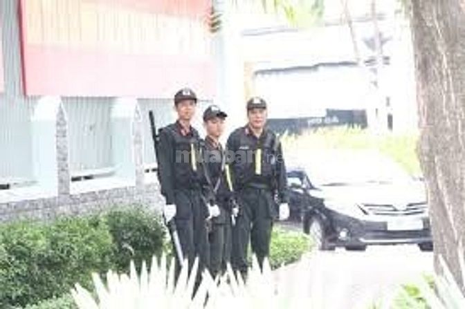 Tuyển Gấp Nam/Nữ Trực Giữ Đồ, Quẹt Thẻ Xe, Trực Camera Trong Siêu Thị 51671609 Tuyển Gấp Nam/Nữ Trực Giữ Đồ, Quẹt Thẻ Xe, Trực Camera Trong Siêu Thị