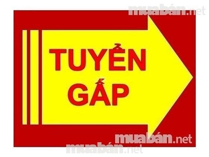Tuyển Tài Xế, lơ xe và lao động phổ thông làm tại buôn mê thuột 51733192 Tuyển Tài Xế, lơ xe và lao động phổ thông làm tại buôn mê thuột