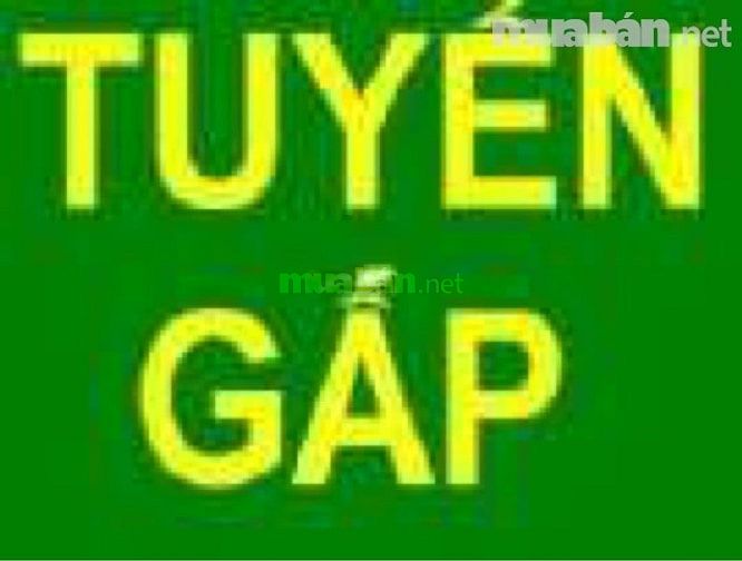 Tuyển dụng ( lao động phổ thông và lơ xe) làm tại khánh hòa 51733290 Tuyển dụng ( lao động phổ thông và lơ xe) làm tại khánh hòa