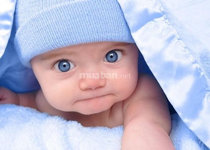 Cần tìm 1 người giữ trẻ 1 người giúp việc nhà 1 người chăm bà 51769276 Cần tìm 1 người giữ trẻ 1 người giúp việc nhà 1 người chăm bà