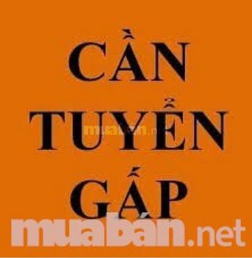 Cần tuyển gấp nhân sự làm việc trực tiếp tại văn phòng hành chính 51812360 Cần tuyển gấp nhân sự làm việc trực tiếp tại văn phòng hành chính