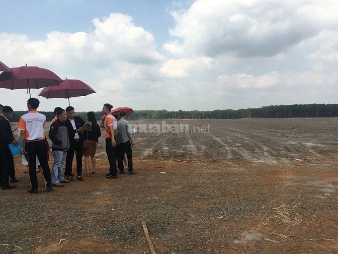 Cần tiền bán gấp lô đất nền 1000m2 đã có SHR , LH chính chủ 51821710 Cần tiền bán gấp lô đất nền 1000m2 đã có SHR , LH chính chủ