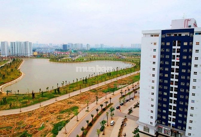 Bán kiot HH03 KĐT Thanh Hà, lô góc 2 mặt thoáng tiện kinh doanh 51890229 Bán kiot HH03 KĐT Thanh Hà, lô góc 2 mặt thoáng tiện kinh doanh