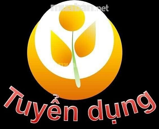 Công ty cần đứng bán hàng tại quầy 52090511 Công ty cần đứng bán hàng tại quầy