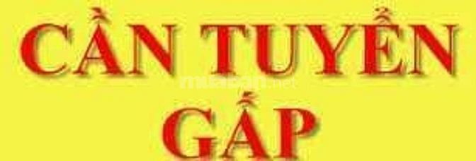 Chi nhánh mới của công ty nên cần gấp 04 nhân viên văn phòng. 52239247 Chi nhánh mới của công ty nên cần gấp 04 nhân viên văn phòng.