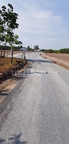 Bán đất ngay chợ Minh Lập- chơn thành 1000m2 giá 550tr, sang tên ngay 52276158 Bán đất ngay chợ Minh Lập- chơn thành 1000m2 giá 550tr, sang tên ngay