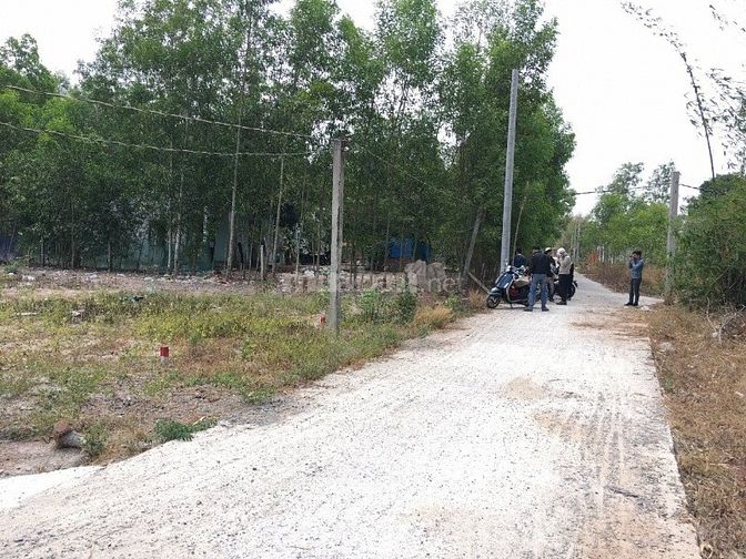 Bán đất thị xã Bàu Bàng Chơn Thành, sổ hồng riêng 52319477 Bán đất thị xã Bàu Bàng Chơn Thành, sổ hồng riêng