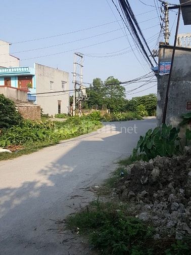 Bán đất Vĩnh Cát, Vĩnh Niệm, Lê Chân, Hải Phòng 52321867 Bán đất Vĩnh Cát, Vĩnh Niệm, Lê Chân, Hải Phòng