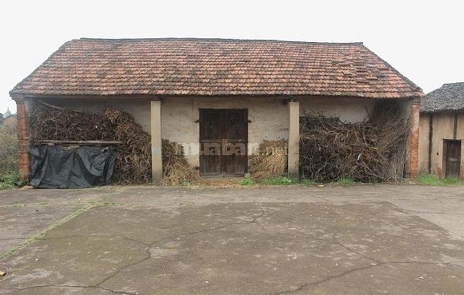 Cho thuê nhà mặt phố, đường Bưởi và các tuyến phố quận TÂY HỒ 52328993 Cho thuê nhà mặt phố, đường Bưởi và các tuyến phố quận TÂY HỒ