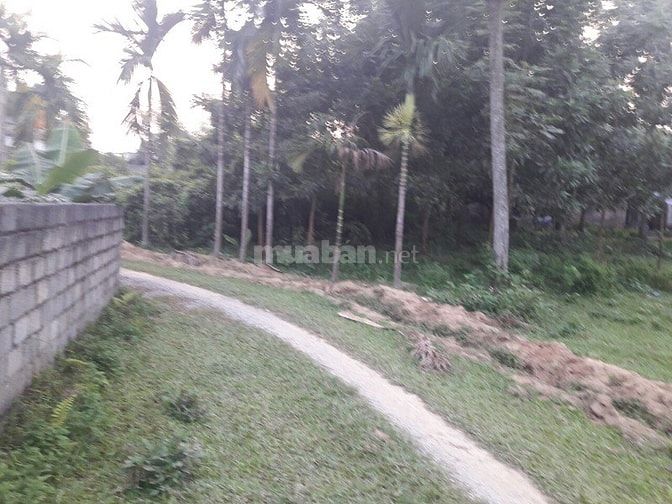 Thanh Lý Gấp 3600m2 Đất Thổ Cư Giá Rẻ Tại Nhuận Trạch. 52364325 Thanh Lý Gấp 3600m2 Đất Thổ Cư Giá Rẻ Tại Nhuận Trạch.