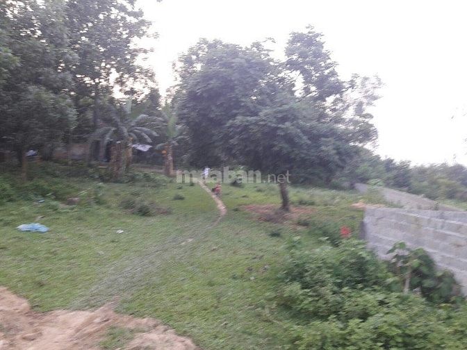 Thanh Lý Gấp 3600m2 Đất Thổ Cư Giá Rẻ Tại Nhuận Trạch. 52364325 Thanh Lý Gấp 3600m2 Đất Thổ Cư Giá Rẻ Tại Nhuận Trạch.