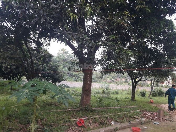 Thanh Lý Gấp 3600m2 Đất Thổ Cư Giá Rẻ Tại Nhuận Trạch. 52364325 Thanh Lý Gấp 3600m2 Đất Thổ Cư Giá Rẻ Tại Nhuận Trạch.