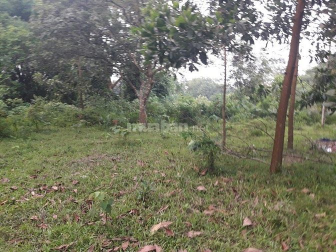 Thanh Lý Gấp 3600m2 Đất Thổ Cư Giá Rẻ Tại Nhuận Trạch. 52364325 Thanh Lý Gấp 3600m2 Đất Thổ Cư Giá Rẻ Tại Nhuận Trạch.
