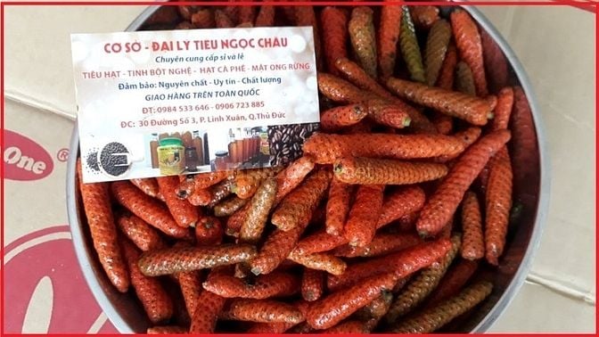 Gía tiêu lốp( giá tiêu lốt) tươi và khô, giảm 20% giao hàng tận nơi 52352005 Gía tiêu lốp( giá tiêu lốt) tươi và khô, giảm 20% giao hàng tận nơi