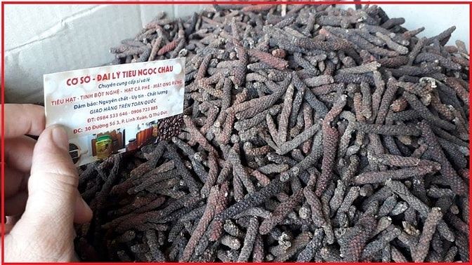 Gía tiêu lốp( giá tiêu lốt) tươi và khô, giảm 20% giao hàng tận nơi 52352005 Gía tiêu lốp( giá tiêu lốt) tươi và khô, giảm 20% giao hàng tận nơi