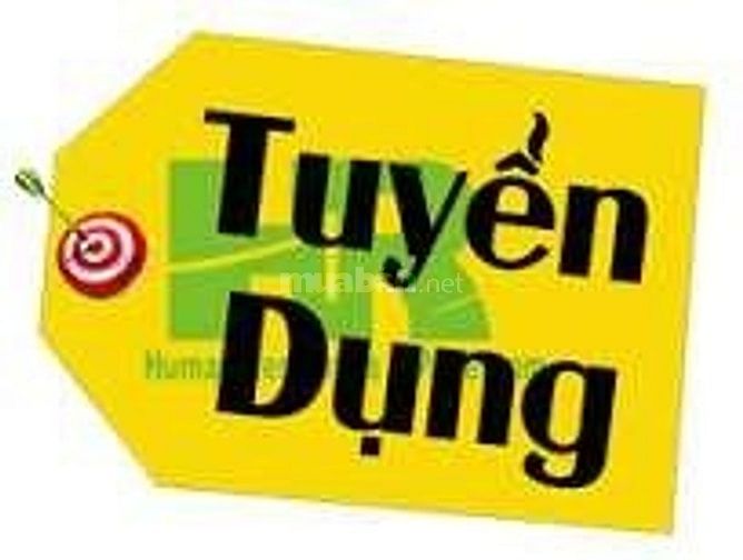 Tuyển Nhân viên nam nữ làm việc tại văn phòng 52353190 Tuyển Nhân viên nam nữ làm việc tại văn phòng