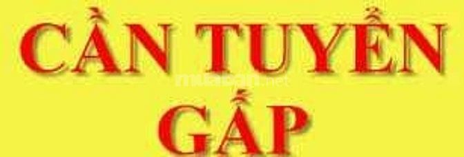 Cần tuyển nhân viên làm việc văn phòng. 52380353 Cần tuyển nhân viên làm việc văn phòng.