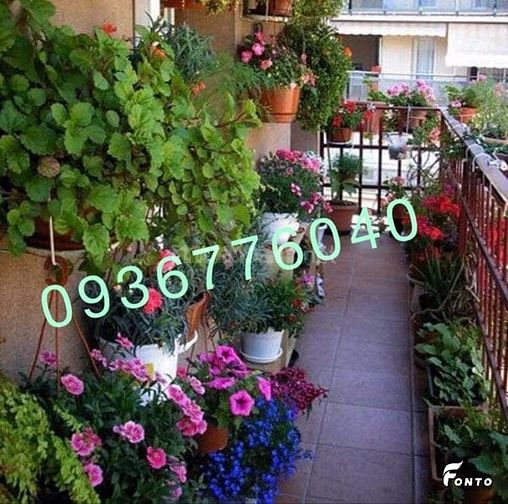 Chung cư giá rẻ nhất hiện nay ở hải phong 52459587 Chung cư giá rẻ nhất hiện nay ở hải phong