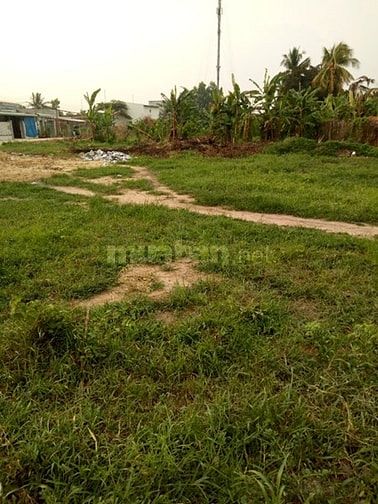 Đường Bê Tông 4m,Cách QL 22 50m, Rạch Sơn, TT Gò Dầu, DT: 7x37, ONT 52513613 Đường Bê Tông 4m,Cách QL 22 50m, Rạch Sơn, TT Gò Dầu, DT: 7x37, ONT