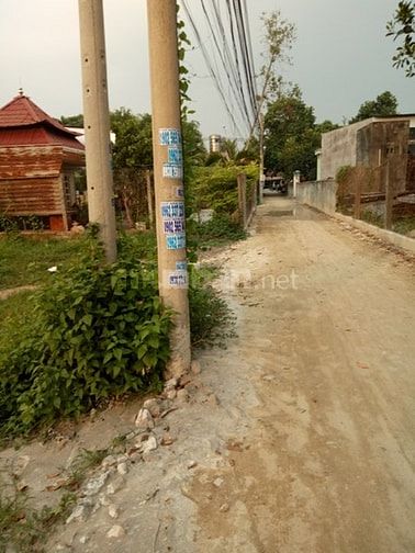 Đường Bê Tông 4m,Cách QL 22 50m, Rạch Sơn, TT Gò Dầu, DT: 7x37, ONT 52513613 Đường Bê Tông 4m,Cách QL 22 50m, Rạch Sơn, TT Gò Dầu, DT: 7x37, ONT