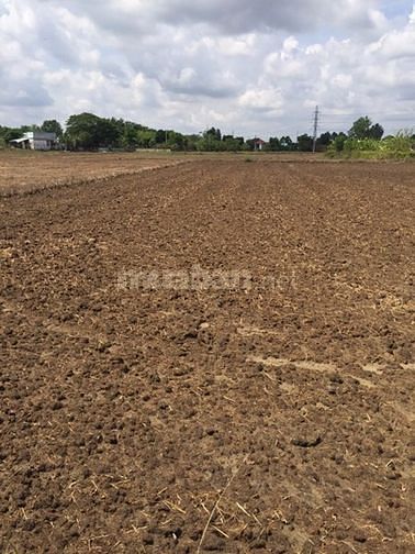 Cần bán đất 3.000m2 kênh B thị trấn Tân Túc. Giá 1.7tr/m2 52506783 Cần bán đất 3.000m2 kênh B thị trấn Tân Túc. Giá 1.7tr/m2