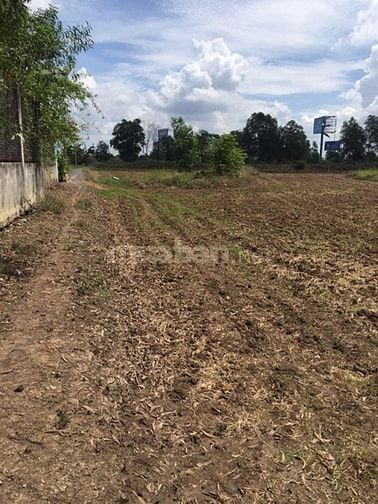 Cần bán đất 3.000m2 kênh B thị trấn Tân Túc. Giá 1.7tr/m2 52506783 Cần bán đất 3.000m2 kênh B thị trấn Tân Túc. Giá 1.7tr/m2