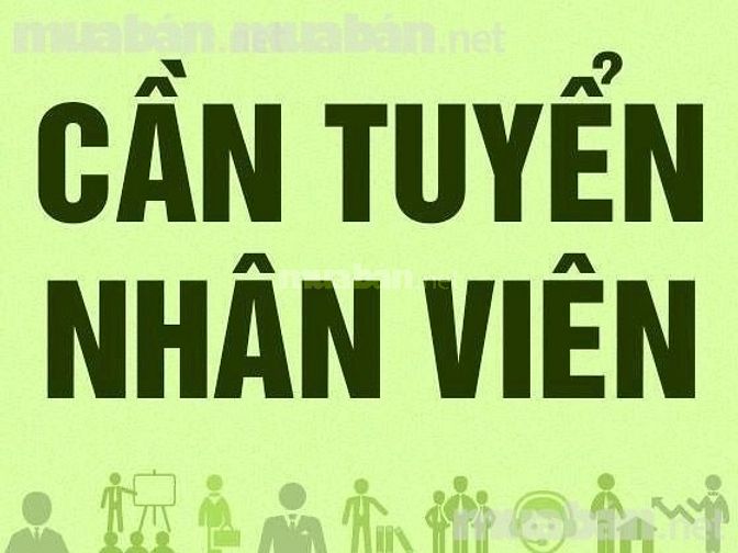 Cần tuyển gấp 03 nhân viên bán hàng theo ca tại showroom 52534839 Cần tuyển gấp 03 nhân viên bán hàng theo ca tại showroom