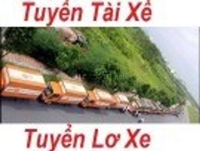 Công Ty Cần Tuyển Tài Xế, Lơ Xe, Nam Phụ Kho Hàng - Giao Hàng 52521208 Công Ty Cần Tuyển Tài Xế, Lơ Xe, Nam Phụ Kho Hàng - Giao Hàng