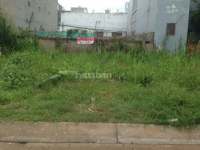 Bán đất ven thành phố giá rẻ đầu tư dt 2000m2 sổ hồng riêng 52582038 Bán đất ven thành phố giá rẻ đầu tư dt 2000m2 sổ hồng riêng