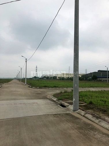 Bán lô 82 còn lại duy nhất ở xã Nguyễn Trãi-Thường Tín 52567879 Bán lô 82 còn lại duy nhất ở xã Nguyễn Trãi-Thường Tín