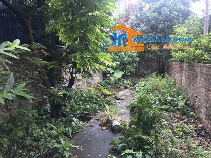 Chuyển nhượng lô đất trong ngõ 32 Mạc Thiên Phúc, Kiến An, Hải Phòng 52608666 Chuyển nhượng lô đất trong ngõ 32 Mạc Thiên Phúc, Kiến An, Hải Phòng