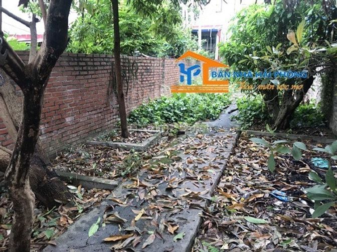 Chuyển nhượng lô đất trong ngõ 32 Mạc Thiên Phúc, Kiến An, Hải Phòng 52608666 Chuyển nhượng lô đất trong ngõ 32 Mạc Thiên Phúc, Kiến An, Hải Phòng