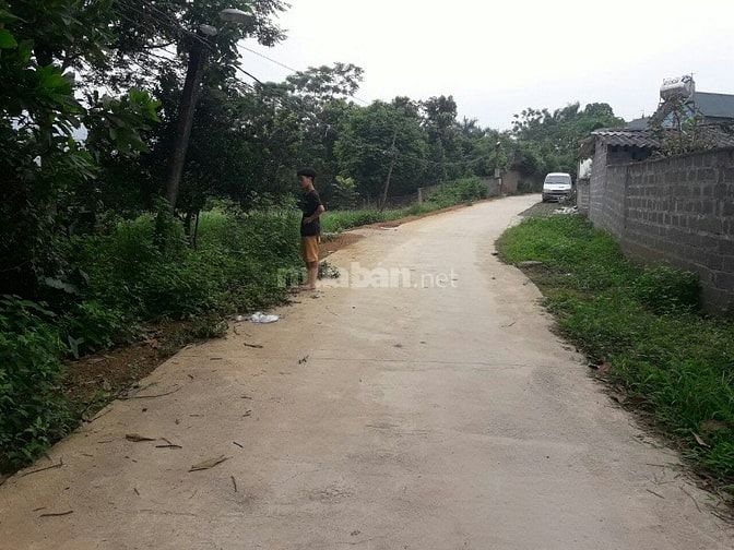 Cơ hội đầu tư lớn sở hữu 3600m2 đất phù hợp làm nghỉ dưỡng cuối tuần 52629093 Cơ hội đầu tư lớn sở hữu 3600m2 đất phù hợp làm nghỉ dưỡng cuối tuần